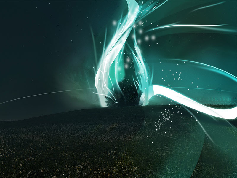 Moving Insect - Wallpaper & photos by Henrik Wissing